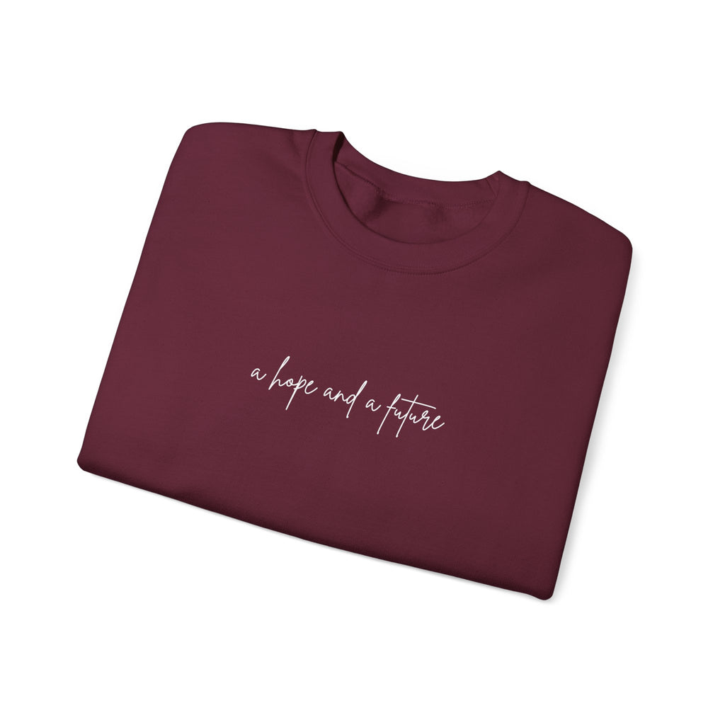 Jeremiah 29:11 Crewneck - White Lettering - 13 colors